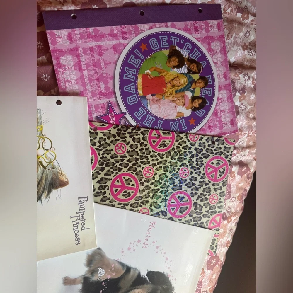 Adorable! Early 2000’s Girly Portfolio folders
